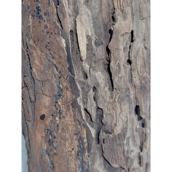 Hand Crafted Wood Tree Log Bark Candle Holder Shelf Decor 10.5" Rustic Cabin - Picture 8 of 10